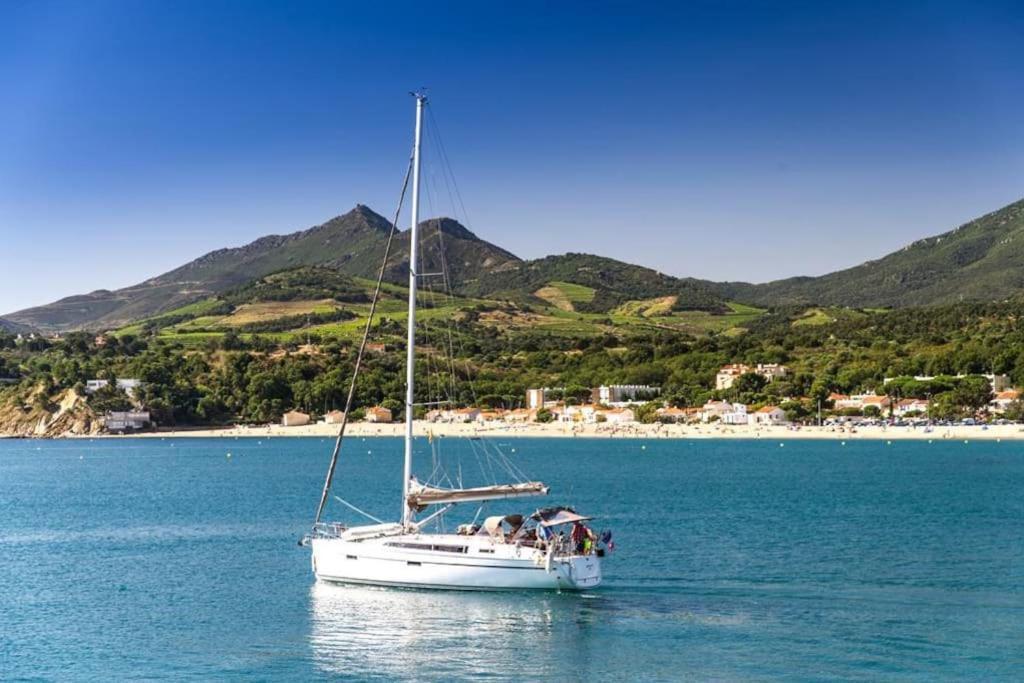 "Les Bambous" Studio Cosy Climatise Au Calme De 37 M2 Parking Gratuit A Argeles Sur Mer Εξωτερικό φωτογραφία