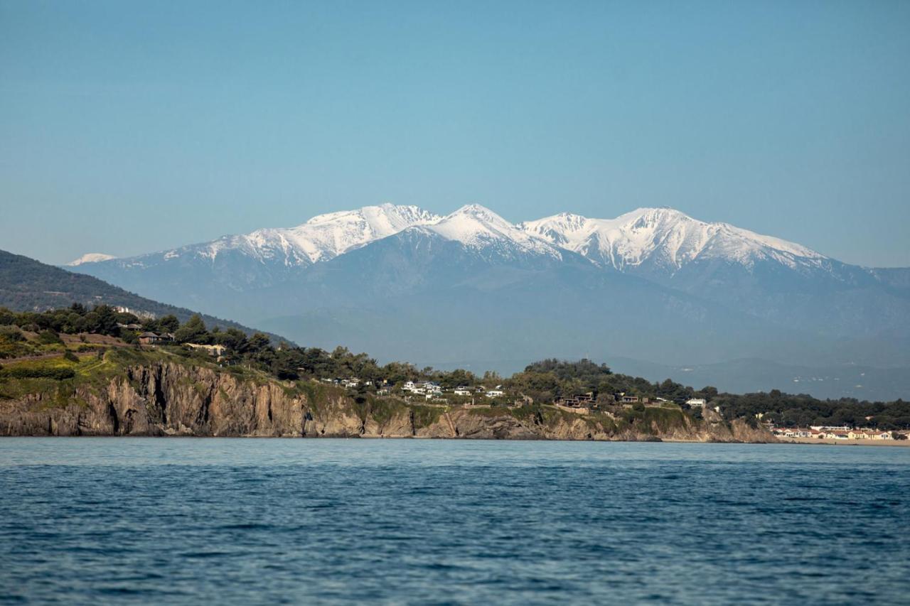 "Les Bambous" Studio Cosy Climatise Au Calme De 37 M2 Parking Gratuit A Argeles Sur Mer Εξωτερικό φωτογραφία